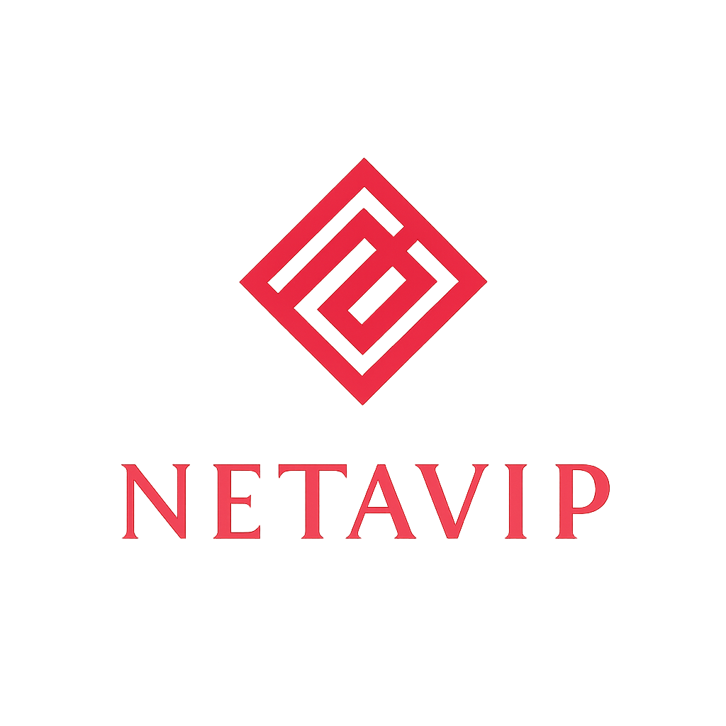 netaviip.com