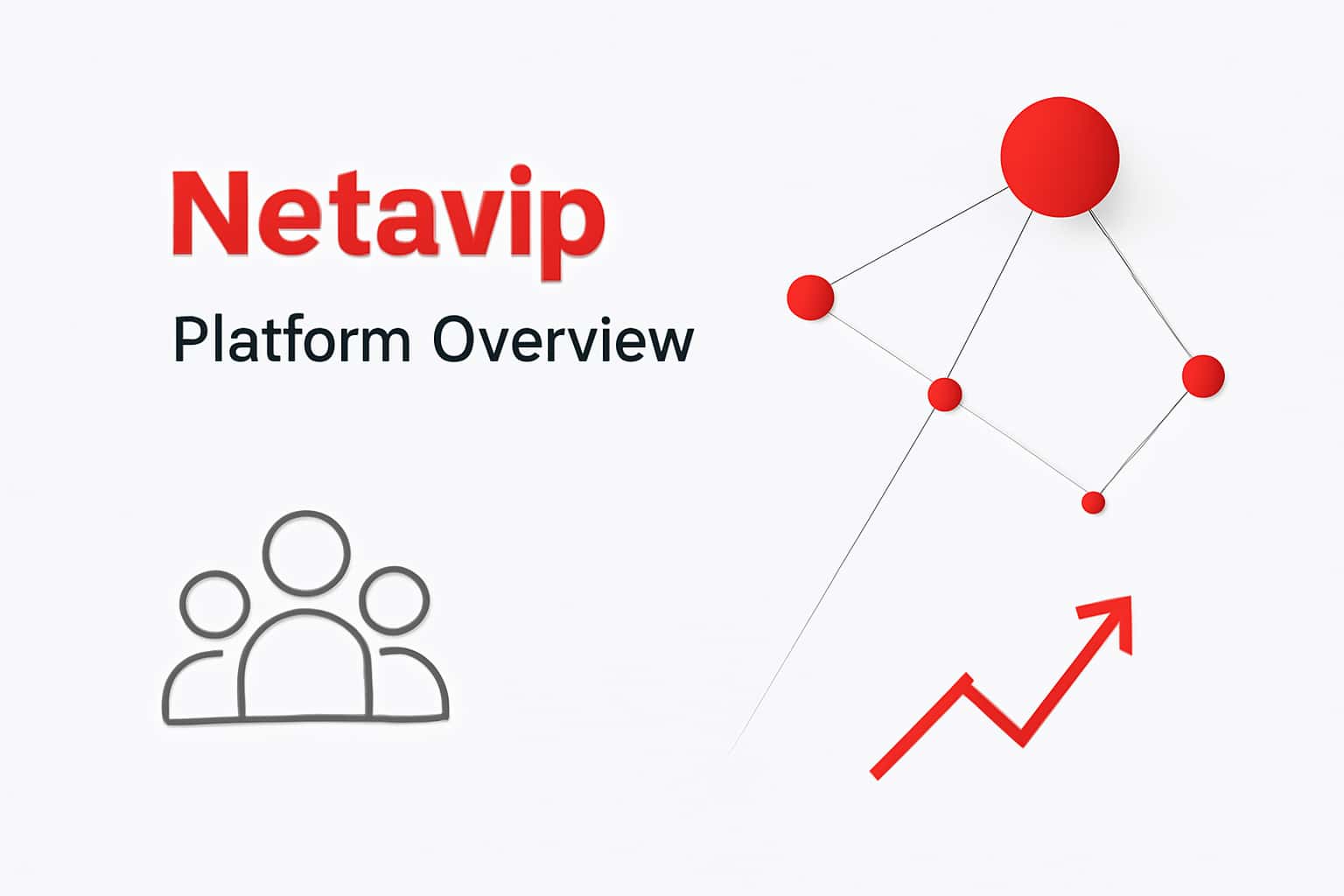Netavip Platform Overview Interface