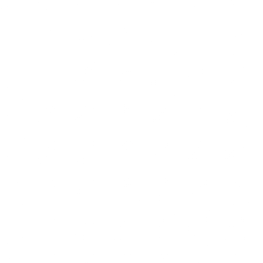 A simple badge representing account verification for Netavip.